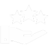 Icon 1
